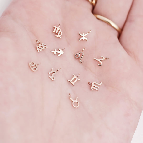 Permanent Jewelry 14K Solid Rose Gold Zodiac Charms / PMJ2009