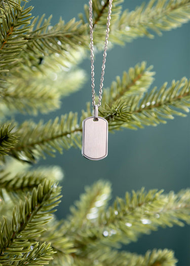 Mens Brushed Stainless Steel Dog Tag