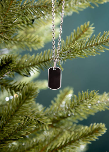 Mens Brushed Stainless Steel and Black Dog Tag