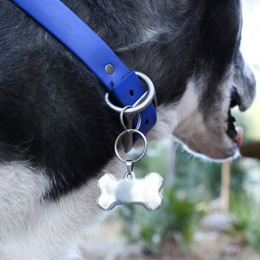 PVD 18K Gold en acier inoxydable Blank Dog Bone Pet Tag/PDL0134