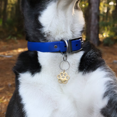 18K Gold PVD Stainless Steel Blank Paw Print Pet Tag / PDL0140