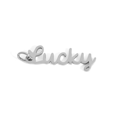 Silver / 18K Gold PVD Stainless Steel Lucky Charm
