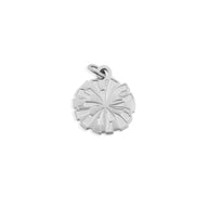 Silver pendant on a white background