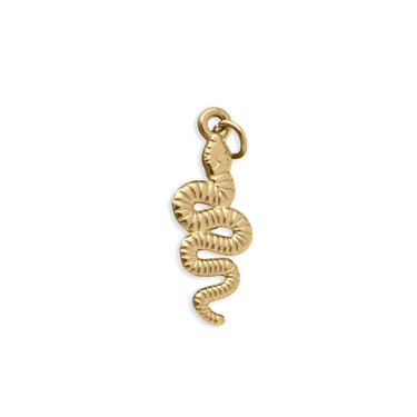 Gold Snake Charm