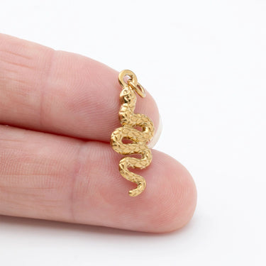 Gold Snake Charm- Scale shot 