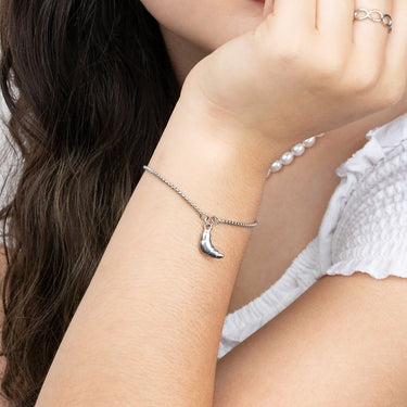18K Gold PVD Stainless Steel Croissant Charm - silver model 