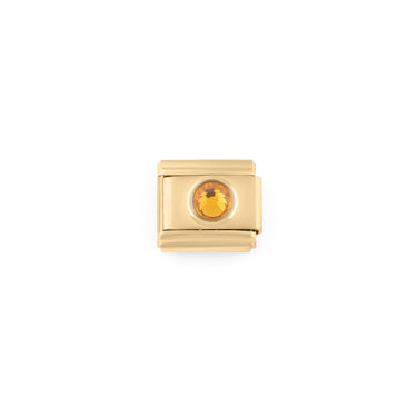 Wholesale jewelry- 18k Gold PVD Stainless Steel Birthstone Italian Charm- Nov