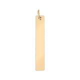 Stainless steel vertical blank pendant