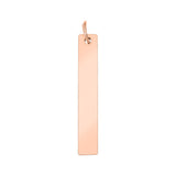 Stainless steel vertical blank pendant
