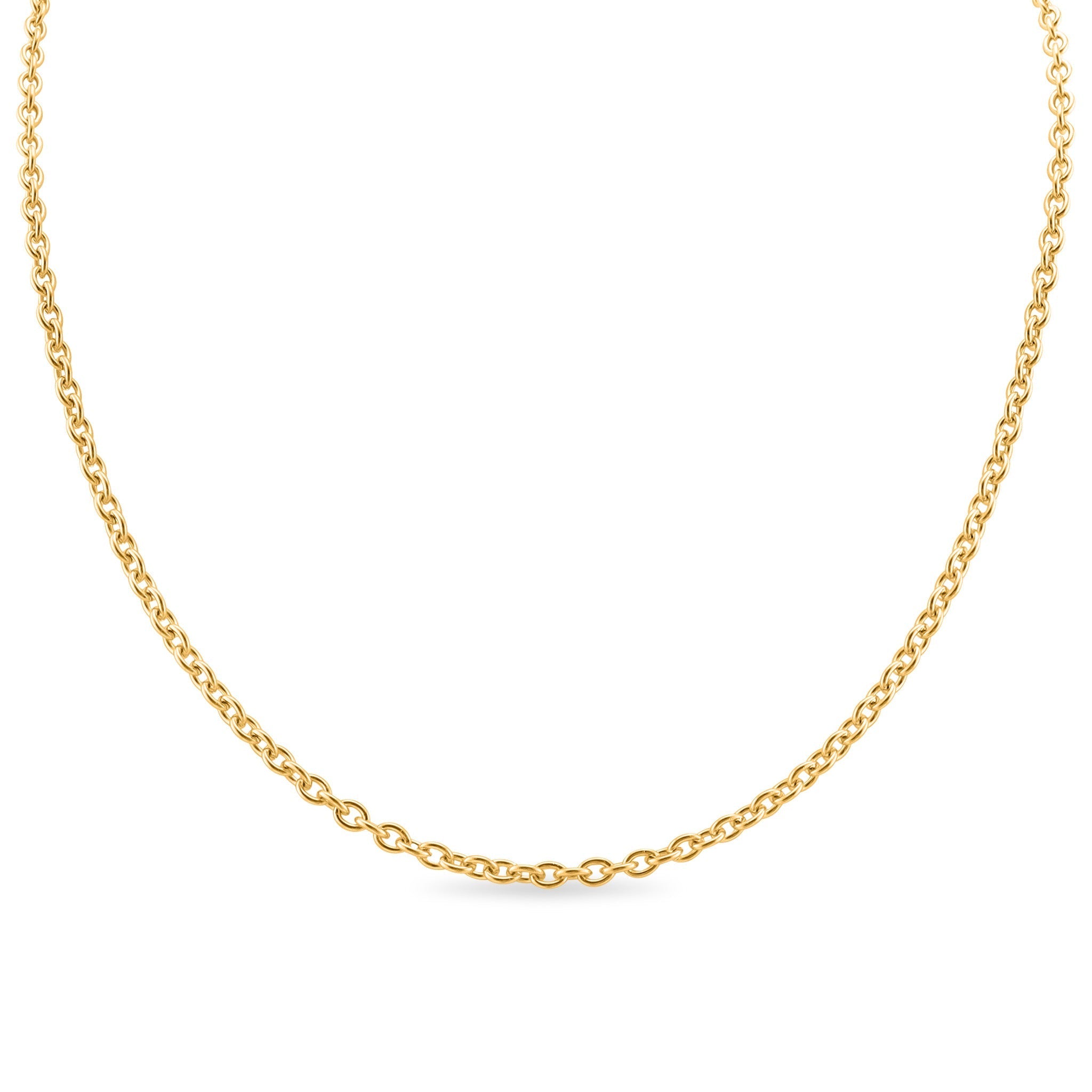 10 Pack - Gold 13+2" Stainless Steel Loop Chain Necklace / CHN3011