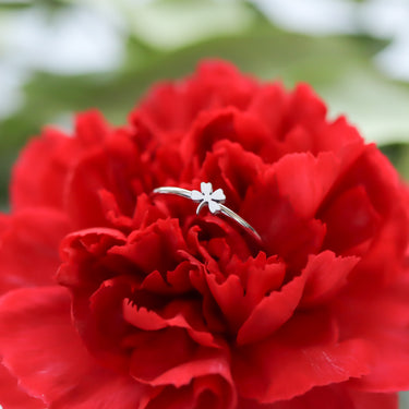 Clover ring in flower