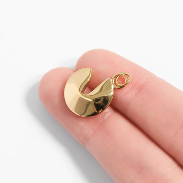 Scale photo of Fortune Cookie Charm