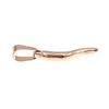 Small Italian Horn "Cornicello" Stainless Steel Pendant / PDJ5002