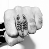 Stainless Steel PVD Coated Scorpion Men's Ring / SCR4100