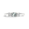 Stainless Steel Small Birthstone CZ Accent Stones Polished Ring / KSR0001