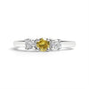 Stainless Steel Small Birthstone CZ Accent Stones Polished Ring / KSR0001