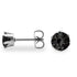 Black Stainless Steel Round CZ Stud Earrings / ERJ3159
