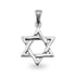 Stainless Steel Star of David Pendant / PDC9005