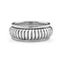 Sterling Silver Banded Spinner Ring / SSR0052